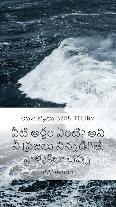 యెహెజ్కేలు 37:18 TELIRV Bible Verse Image