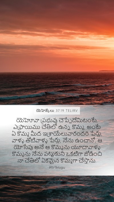 యెహెజ్కేలు 37:19 TELIRV Bible Verse Image