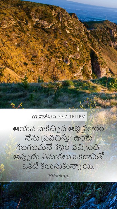 యెహెజ్కేలు 37:7 TELIRV Bible Verse Image