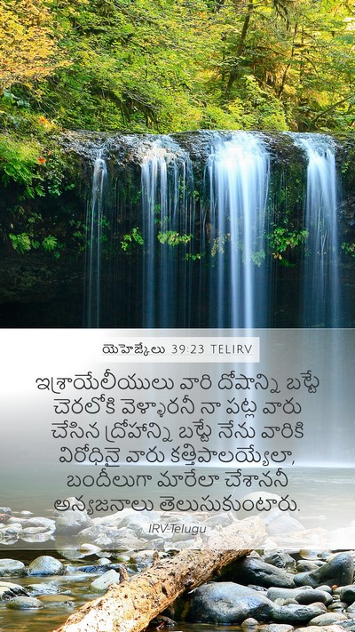 యెహెజ్కేలు 39:23 TELIRV Bible Verse Image