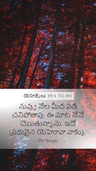 యెహెజ్కేలు 39:5 TELIRV Mobile Phone Wallpaper - నువ్వు నేల మీద పడి - Mobile Bible Verse Wallpaper