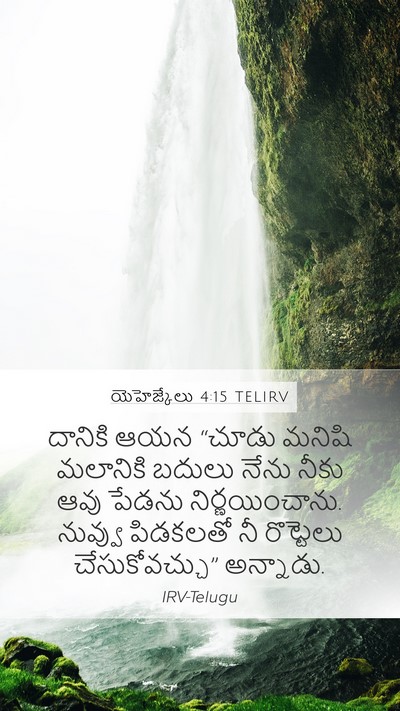 యెహెజ్కేలు 4:15 TELIRV Mobile Phone Wallpaper - దానికి ఆయన “చూడు - Mobile Bible Verse Wallpaper