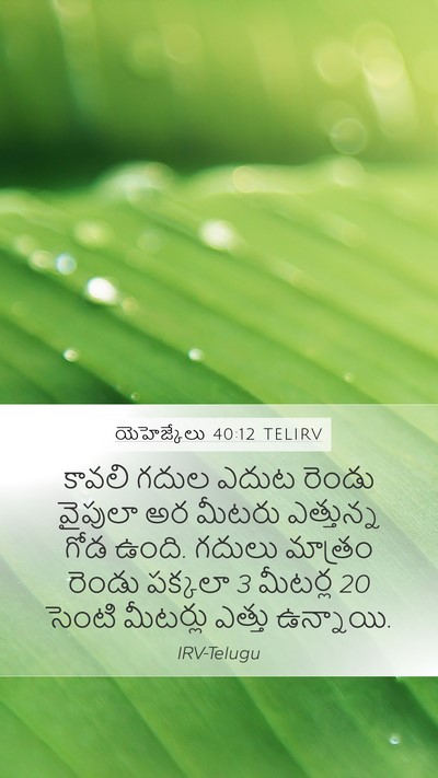 యెహెజ్కేలు 40:12 TELIRV Bible Verse Image