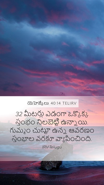యెహెజ్కేలు 40:14 TELIRV Bible Verse Image