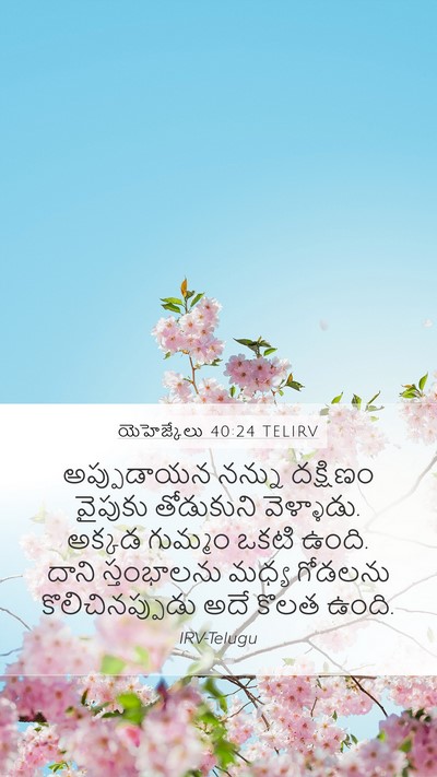 యెహెజ్కేలు 40:24 TELIRV Bible Verse Image