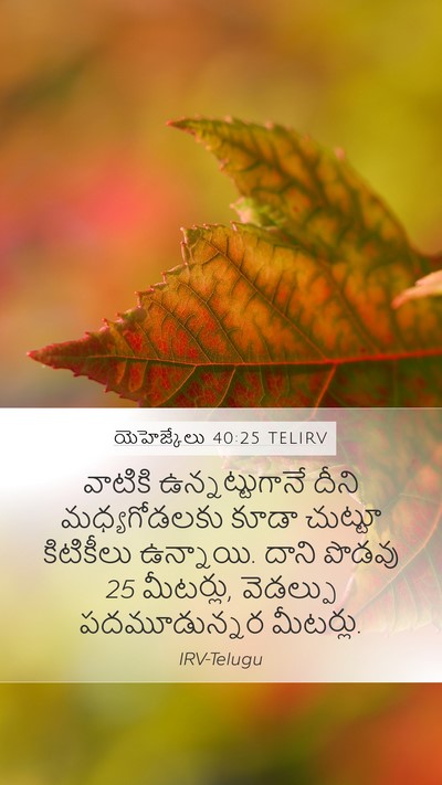 యెహెజ్కేలు 40:25 TELIRV Bible Verse Image