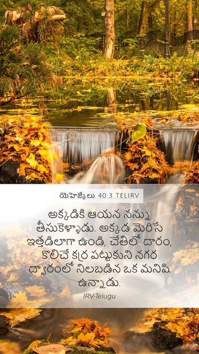 యెహెజ్కేలు 40:3 TELIRV Bible Verse Image