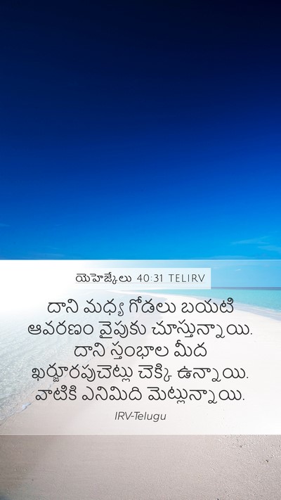 యెహెజ్కేలు 40:31 TELIRV Bible Verse Image