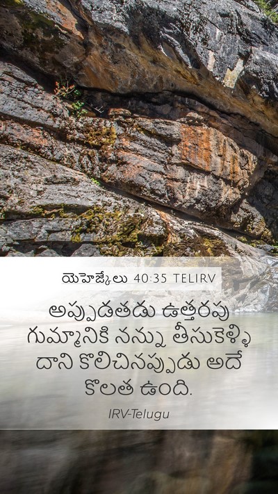 యెహెజ్కేలు 40:35 TELIRV Bible Verse Image