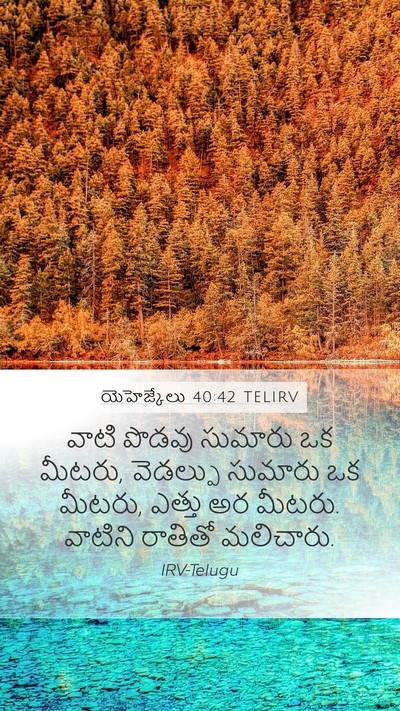 యెహెజ్కేలు 40:42 TELIRV Bible Verse Image