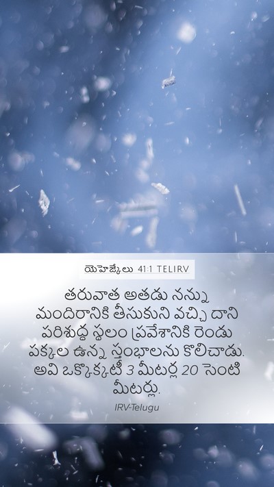 యెహెజ్కేలు 41:1 TELIRV Bible Verse Image