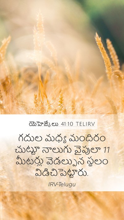 యెహెజ్కేలు 41:10 TELIRV Bible Verse Image
