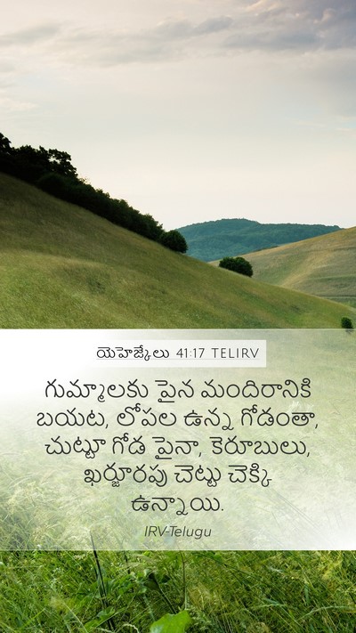 యెహెజ్కేలు 41:17 TELIRV Mobile Phone Wallpaper - గుమ్మాలకు పైన - Mobile Bible Verse Wallpaper