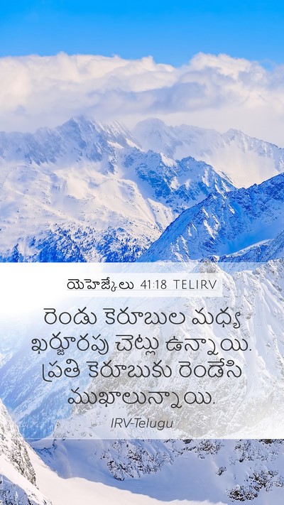 యెహెజ్కేలు 41:18 TELIRV Bible Verse Image
