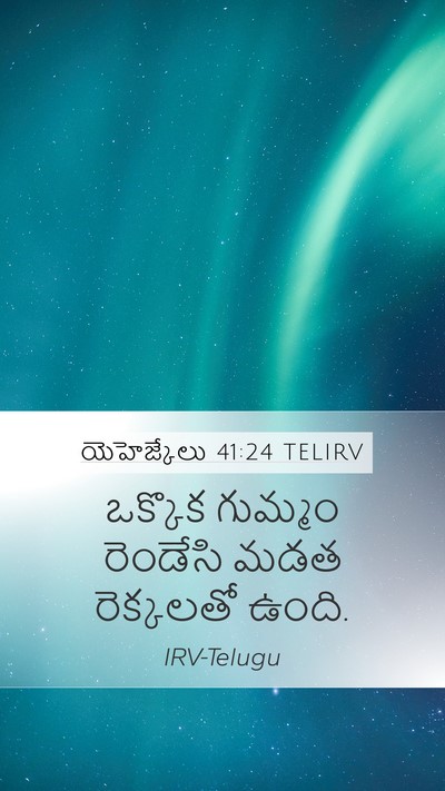 యెహెజ్కేలు 41:24 TELIRV Mobile Phone Wallpaper - ఒక్కొక గుమ్మం - Mobile Bible Verse Wallpaper