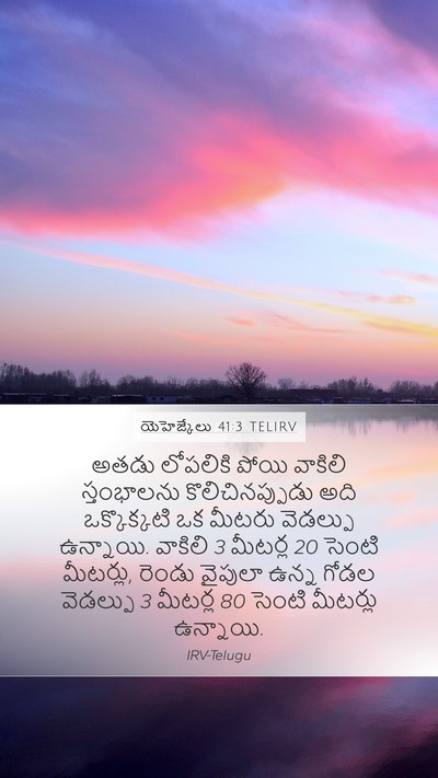 యెహెజ్కేలు 41:3 TELIRV Bible Verse Image