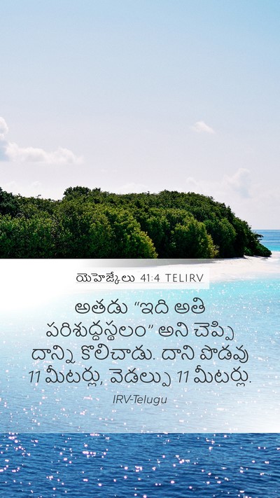 యెహెజ్కేలు 41:4 TELIRV Mobile Phone Wallpaper - అతడు “ఇది అతి - Mobile Bible Verse Wallpaper