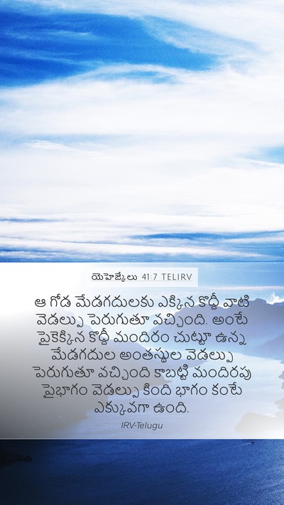 యెహెజ్కేలు 41:7 TELIRV Bible Verse Image