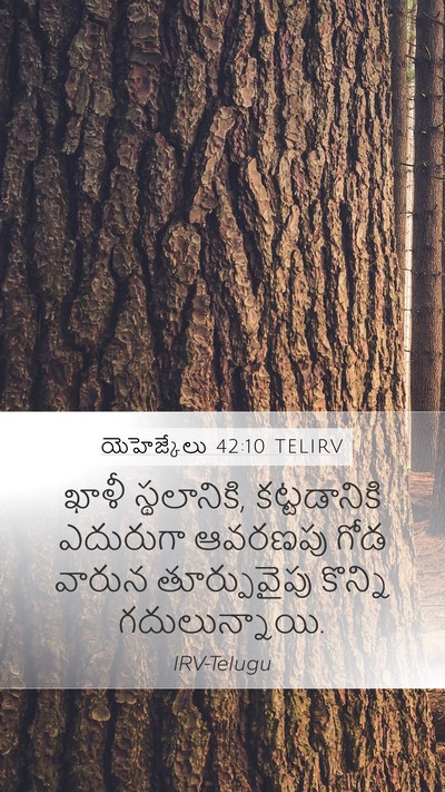యెహెజ్కేలు 42:10 TELIRV Bible Verse Image