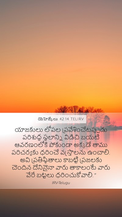యెహెజ్కేలు 42:14 TELIRV Mobile Phone Wallpaper - యాజకులు లోపల - Mobile Bible Verse Wallpaper