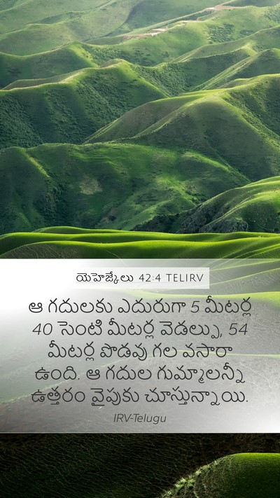 యెహెజ్కేలు 42:4 TELIRV Bible Verse Image