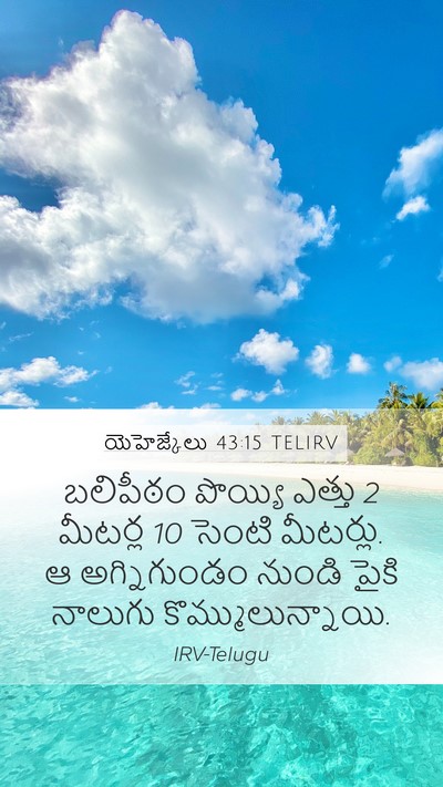 యెహెజ్కేలు 43:15 TELIRV Bible Verse Image