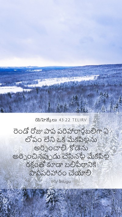 యెహెజ్కేలు 43:22 TELIRV Bible Verse Image