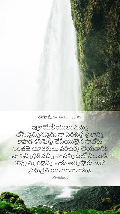యెహెజ్కేలు 44:15 TELIRV Bible Verse Image
