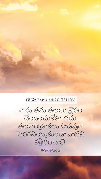 యెహెజ్కేలు 44:20 TELIRV Bible Verse Image