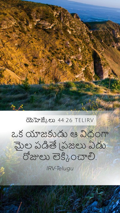 యెహెజ్కేలు 44:26 TELIRV Mobile Phone Wallpaper - ఒక యాజకుడు ఆ - Mobile Bible Verse Wallpaper