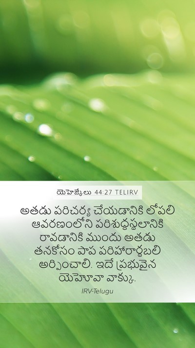 యెహెజ్కేలు 44:27 TELIRV Mobile Phone Wallpaper - అతడు పరిచర్య - Mobile Bible Verse Wallpaper