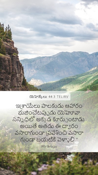 యెహెజ్కేలు 44:3 TELIRV Bible Verse Image