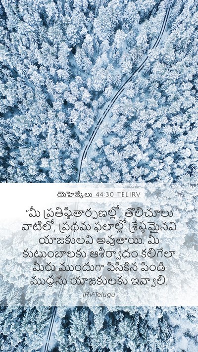 యెహెజ్కేలు 44:30 TELIRV Bible Verse Image