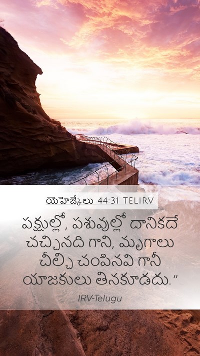 యెహెజ్కేలు 44:31 TELIRV Bible Verse Image