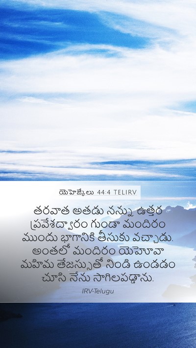 యెహెజ్కేలు 44:4 TELIRV Bible Verse Image