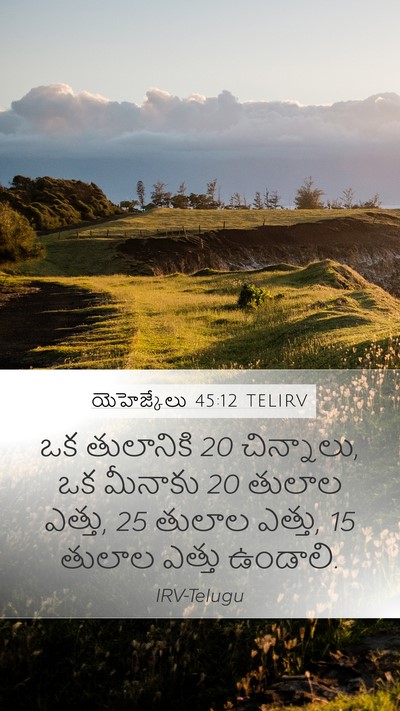యెహెజ్కేలు 45:12 TELIRV Bible Verse Image