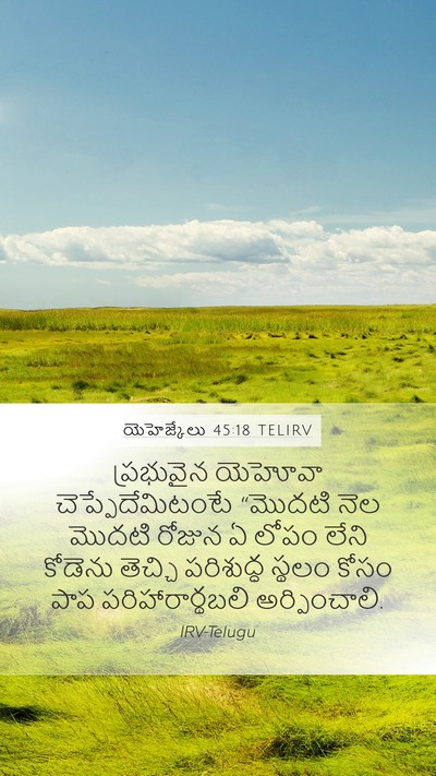 యెహెజ్కేలు 45:18 TELIRV Bible Verse Image