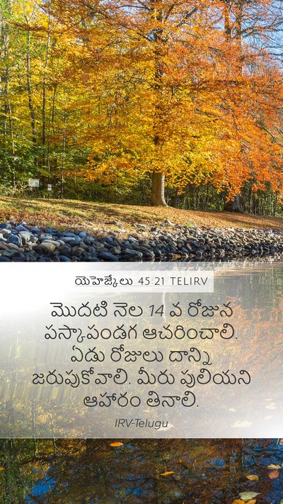 యెహెజ్కేలు 45:21 TELIRV Bible Verse Image