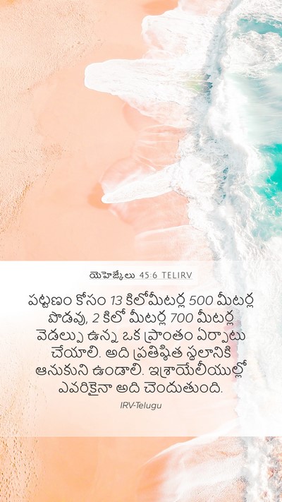 యెహెజ్కేలు 45:6 TELIRV Bible Verse Image