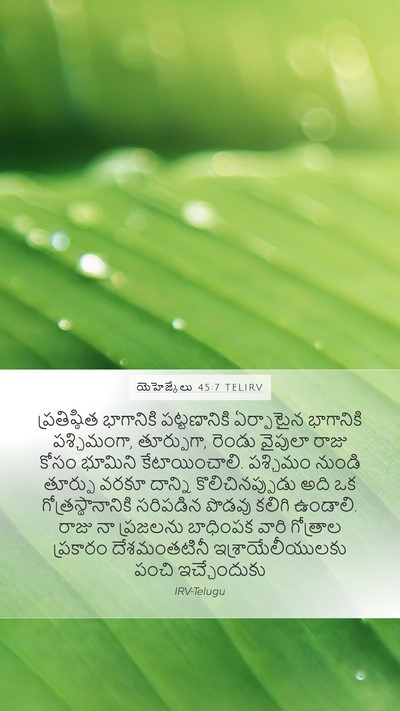 యెహెజ్కేలు 45:7 TELIRV Bible Verse Image