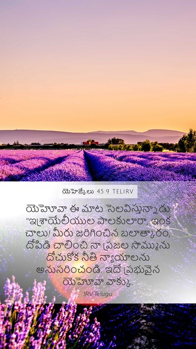 యెహెజ్కేలు 45:9 TELIRV Bible Verse Image
