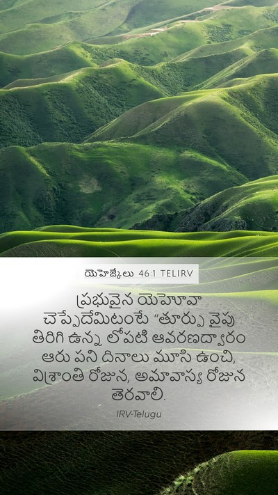 యెహెజ్కేలు 46:1 TELIRV Bible Verse Image