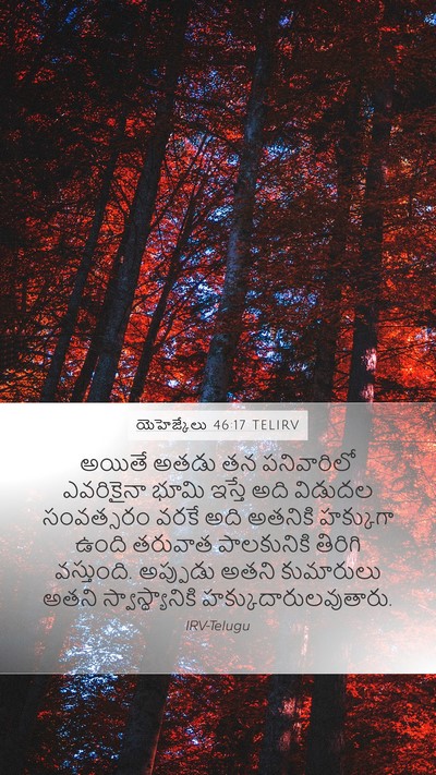 యెహెజ్కేలు 46:17 TELIRV Bible Verse Image