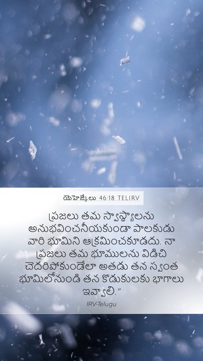 యెహెజ్కేలు 46:18 TELIRV Bible Verse Image