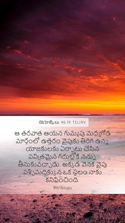 యెహెజ్కేలు 46:19 TELIRV Bible Verse Image