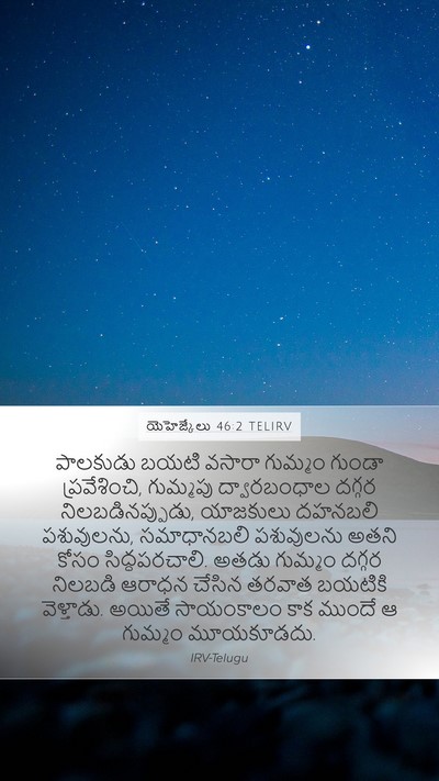 యెహెజ్కేలు 46:2 TELIRV Bible Verse Image