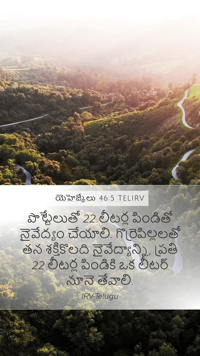 యెహెజ్కేలు 46:5 TELIRV Bible Verse Image