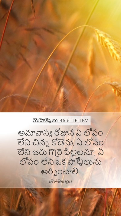 యెహెజ్కేలు 46:6 TELIRV Bible Verse Image
