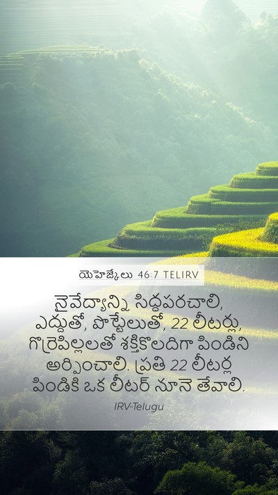 యెహెజ్కేలు 46:7 TELIRV Mobile Phone Wallpaper - నైవేద్యాన్ని - Mobile Bible Verse Wallpaper