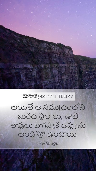 యెహెజ్కేలు 47:11 TELIRV Bible Verse Image